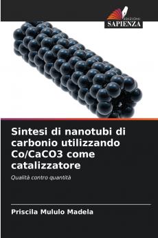 Sintesi di nanotubi di carbonio utilizzando Co/CaCO3 come catalizzatore