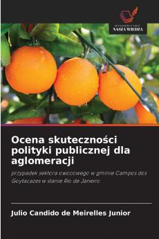 Ocena skuteczności polityki publicznej dla aglomeracji