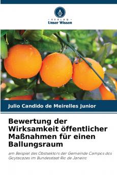 Bewertung der Wirksamkeit öffentlicher Maßnahmen für einen Ballungsraum