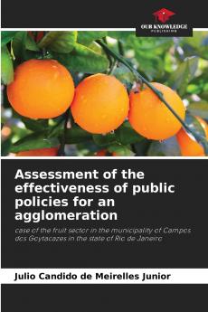 Assessment of the effectiveness of public policies for an agglomeration
