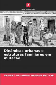 Dinâmicas urbanas e estruturas familiares em mutação
