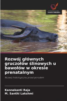 Rozwój głównych gruczołów ślinowych u bawołów w okresie prenatalnym