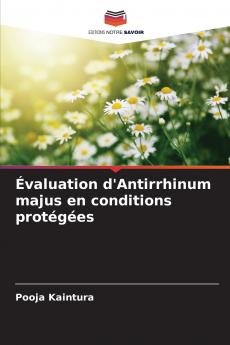 Évaluation d'Antirrhinum majus en conditions protégées