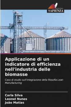 Applicazione di un indicatore di efficienza nell'industria delle biomasse
