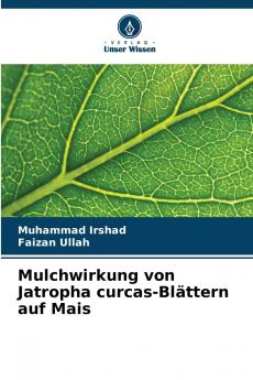 Mulchwirkung von Jatropha curcas-Blättern auf Mais