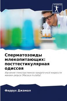 ????????????? ?????????????