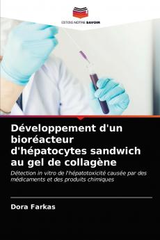 Développement d'un bioréacteur d'hépatocytes sandwich au gel de collagène