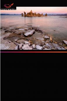 Poszukiwanie interpretacji w Ta?cu wspó?czesnym Pneuma