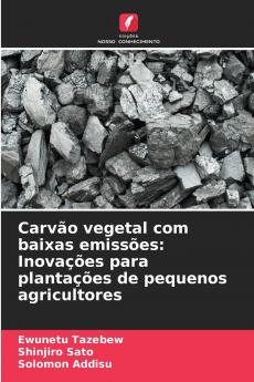 Carvão vegetal com baixas emissões
