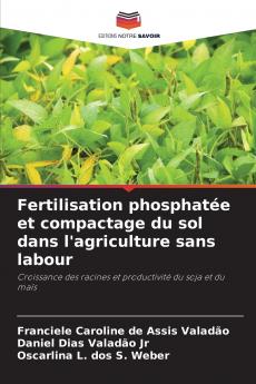 Fertilisation phosphatée et compactage du sol dans l'agriculture sans labour