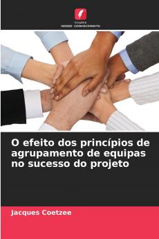 O efeito dos princípios de agrupamento de equipas no sucesso do projeto