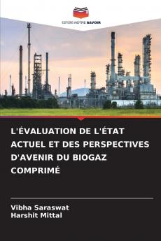 L'ÉVALUATION DE L'ÉTAT ACTUEL ET DES PERSPECTIVES D'AVENIR DU BIOGAZ COMPRIMÉ