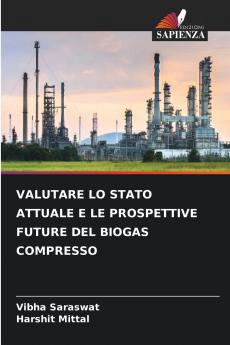 VALUTARE LO STATO ATTUALE E LE PROSPETTIVE FUTURE DEL BIOGAS COMPRESSO