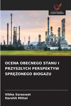 OCENA OBECNEGO STANU I PRZYSZ?YCH PERSPEKTYW SPR??ONEGO BIOGAZU