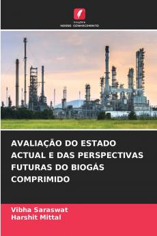 AVALIAÇÃO DO ESTADO ACTUAL E DAS PERSPECTIVAS FUTURAS DO BIOGÁS COMPRIMIDO