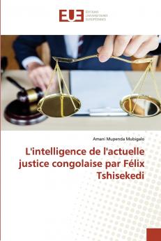 L'intelligence de l'actuelle justice congolaise par Félix Tshisekedi
