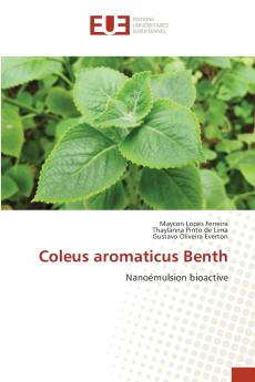 Coleus aromaticus Benth