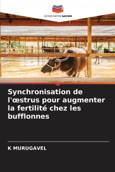 Synchronisation de l'œstrus pour augmenter la fertilité chez les bufflonnes