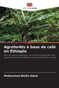 Agroforêts à base de café en Éthiopie
