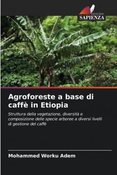Agroforeste a base di caffè in Etiopia