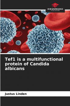 Tef1 is a multifunctional protein of Candida albicans