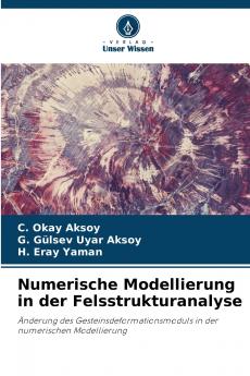 Numerische Modellierung in der Felsstrukturanalyse