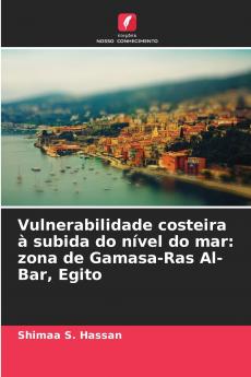 Vulnerabilidade costeira à subida do nível do mar