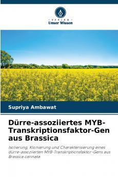 Dürre-assoziiertes MYB-Transkriptionsfaktor-Gen aus Brassica