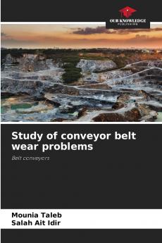 Study of conveyor belt wear problems