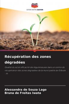 Récupération des zones dégradées