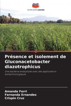 Présence et isolement de Gluconacetobacter diazotrophicus