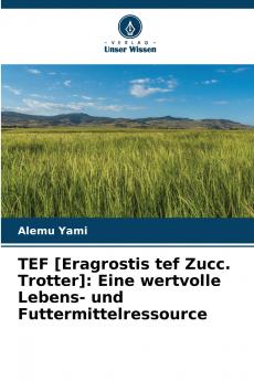 TEF [Eragrostis tef Zucc. Trotter]