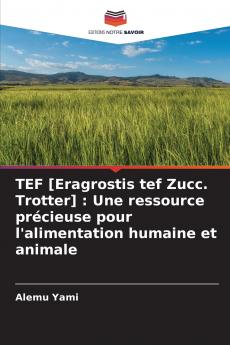 TEF [Eragrostis tef Zucc. Trotter]
