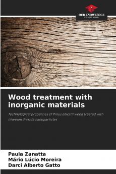 Wood treatment with inorganic materials