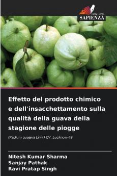 Effetto del prodotto chimico e dell'insacchettamento sulla qualità della guava della stagione delle piogge