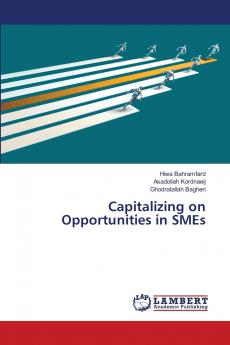 Capitalizing on Opportunities in SMEs