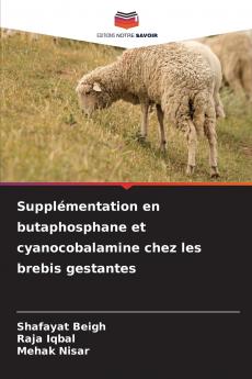 Supplémentation en butaphosphane et cyanocobalamine chez les brebis gestantes