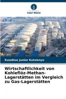Wirtschaftlichkeit von Kohleflöz-Methan-Lagerstätten im Vergleich zu Gas-Lagerstätten
