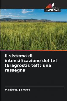 Il sistema di intensificazione del tef (Eragrostis tef)
