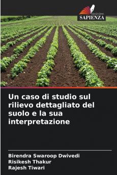 Un caso di studio sul rilievo dettagliato del suolo e la sua interpretazione