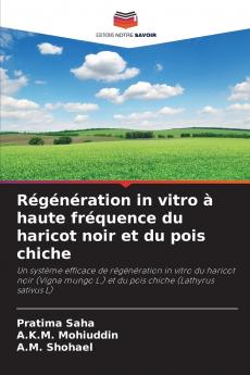 Régénération in vitro à haute fréquence du haricot noir et du pois chiche