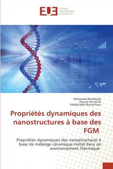 Propriétés dynamiques des nanostructures à base des FGM