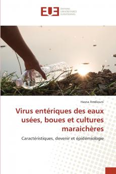 Virus entériques des eaux usées boues et cultures maraichères
