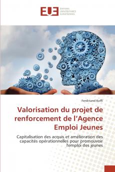 Valorisation du projet de renforcement de l'Agence Emploi Jeunes
