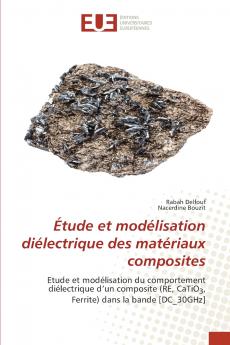 Étude et modélisation diélectrique des matériaux composites