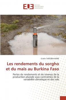 Les rendements du sorgho et du maïs au Burkina Faso