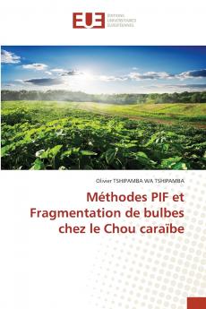 Méthodes PIF et Fragmentation de bulbes chez le Chou caraïbe