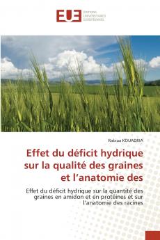Effet du déficit hydrique sur la qualité des graines et l'anatomie des
