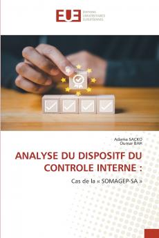 ANALYSE DU DISPOSITF DU CONTROLE INTERNE