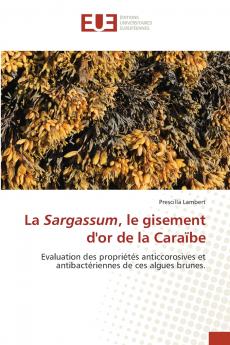 La Sargassum le gisement d'or de la Caraïbe